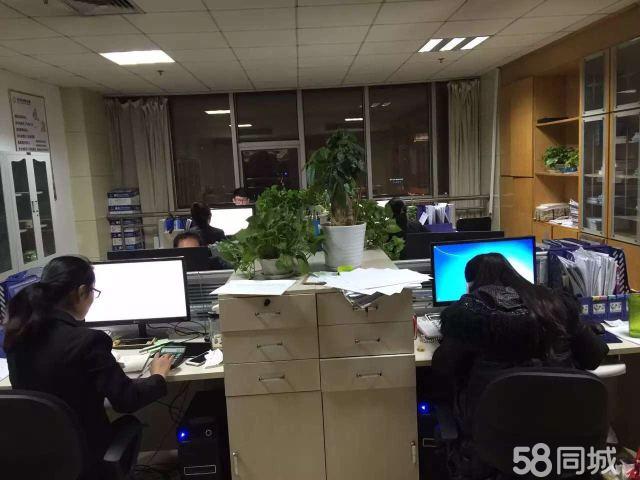 山東金證信息咨詢(xún)服務(wù) 賦能企業(yè)決策的專(zhuān)業(yè)伙伴